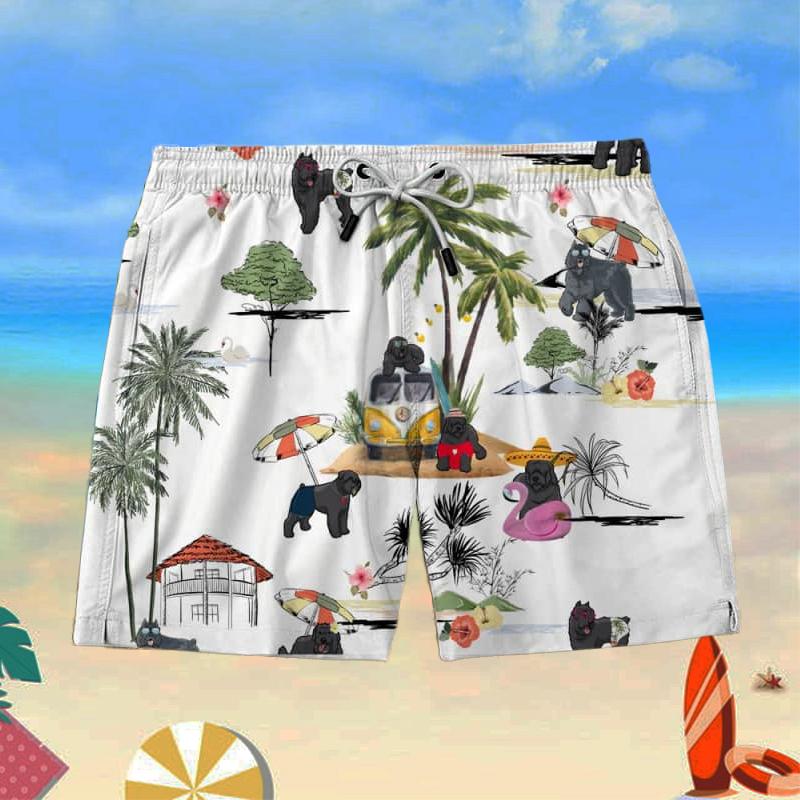 BOUVIER DESFLANDRES Beach Shorts