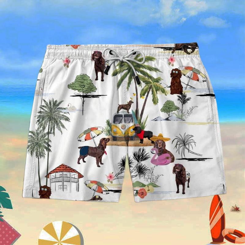 BOYKIN SPANIEL Beach Shorts